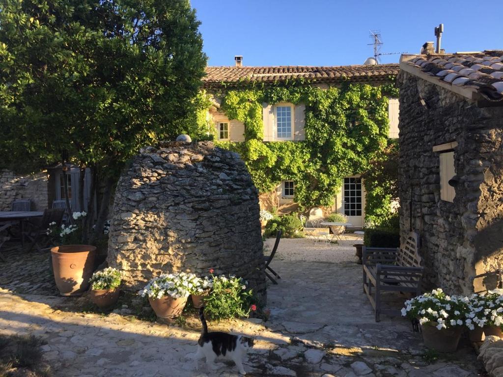 Le Mas Du Lavoir Gordes Dış mekan fotoğraf